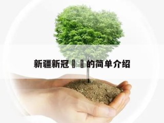 新疆新冠㊙️的简单介绍