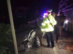 引擎盖下的惊魂，2米眼镜蛇藏身险酿事故