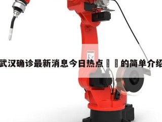 武汉确诊最新消息今日热点㊙️的简单介绍