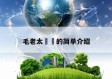 毛老太㊙️的简单介绍
