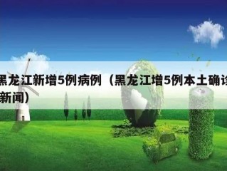 黑龙江新增5例病例（黑龙江增5例本土确诊 新闻）
