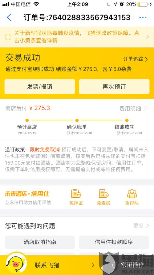 豆包专业版，高端年费背后的专业服务与价值