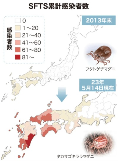 警惕!日本今年已报告72例蜱虫病病例,防控与公众健康意识亟需加强 警惕!日本今年已报告72例蜱虫病病例,防控与公众健康意识亟需加强